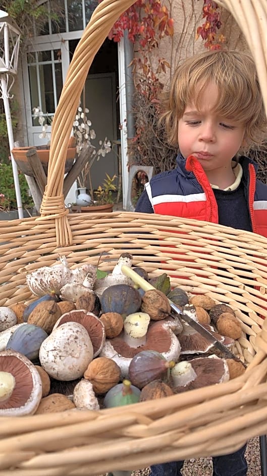 Château de Saint-Agoulin