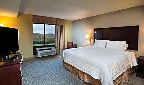 1 King Bed 1 Bdrm Suite with Whirlpool Nonsmok