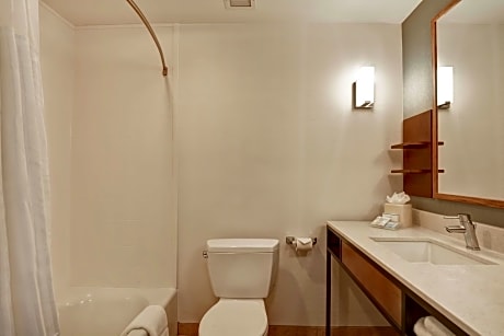 1 King Mobility/Hearing Accessible W/ Bathtub