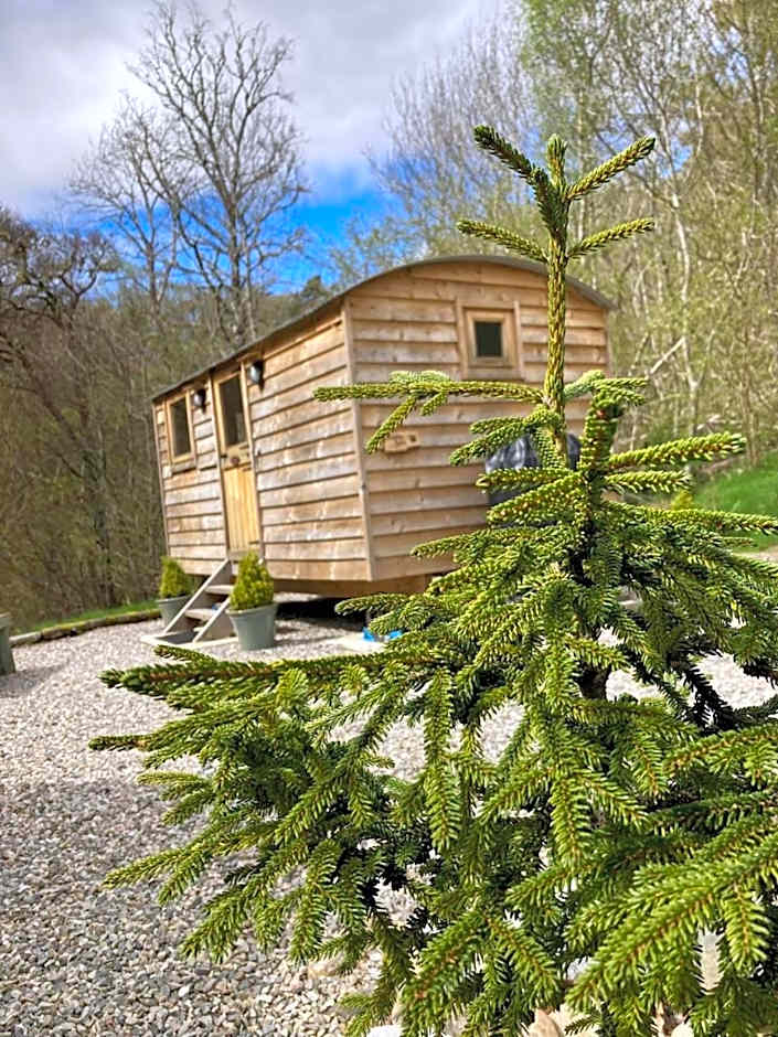 Highland Bear Lodge & Luxury Bear Huts