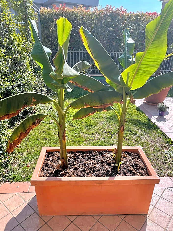 Ferretti Residence Garda Palace