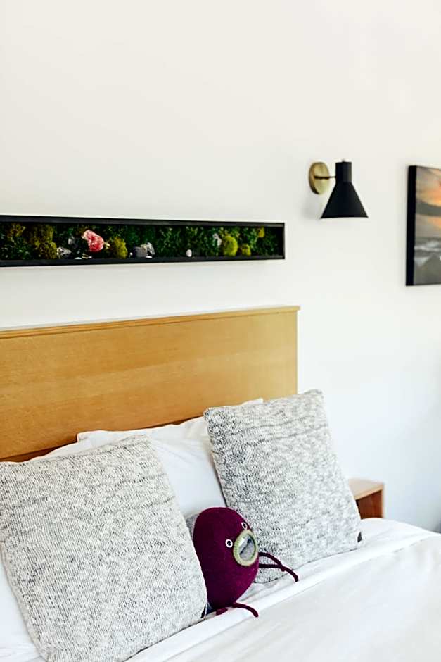 Pluvio restaurant and rooms