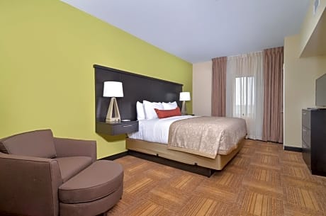 1 Queen Bed 1 Bedroom Suite