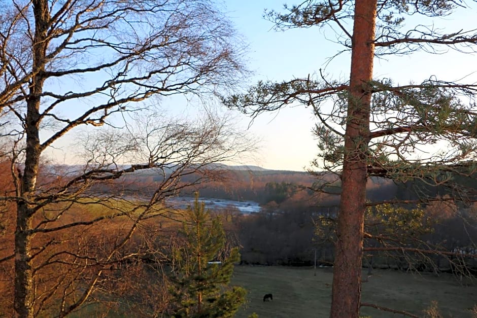 Lagganlia Lodges and Camping Pods