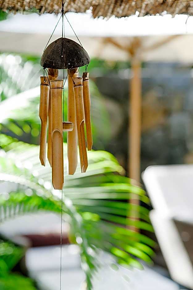 Coin de Mire Attitude