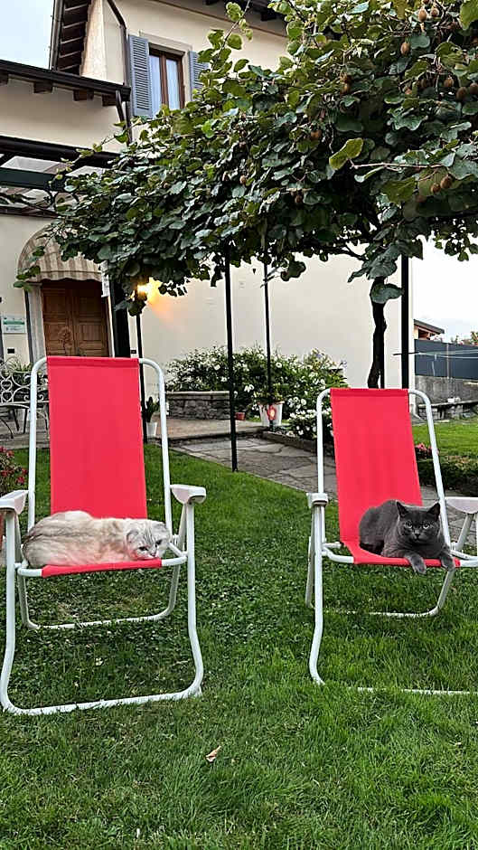 B&B La Dolce Casa Lago di Como