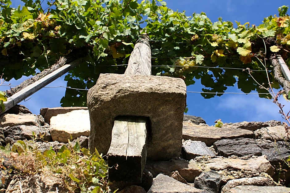 Donauwirt - Hotel garni