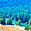 The Best LUXURY RIVER VIEW FULL APARTMENT Lodge Unit - 5049