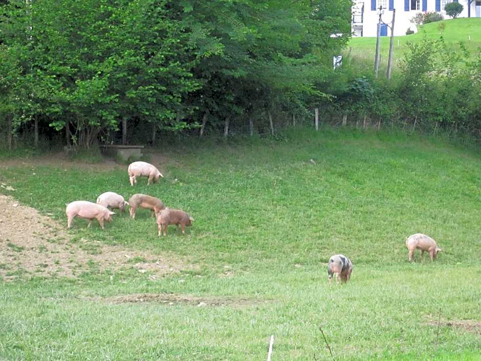 Logis Hotel Ur-Hegian