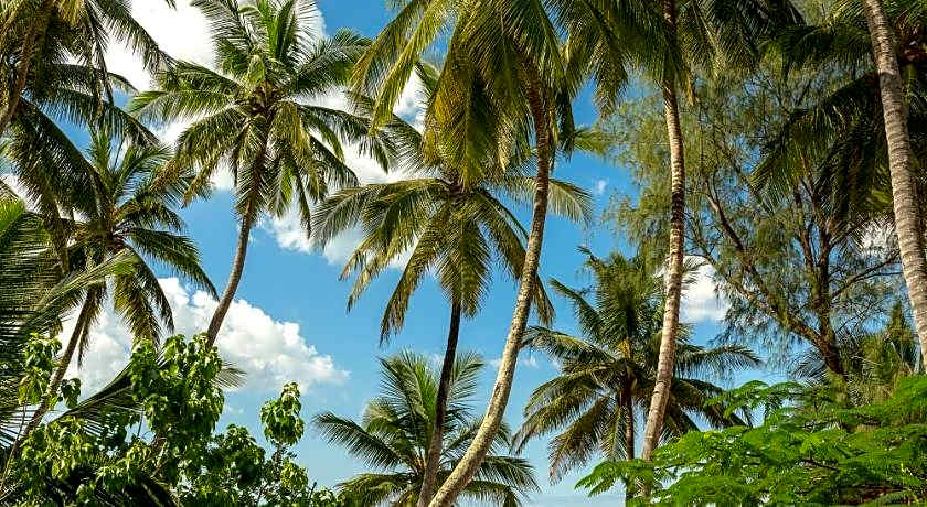 Pongwe Beach Hotel