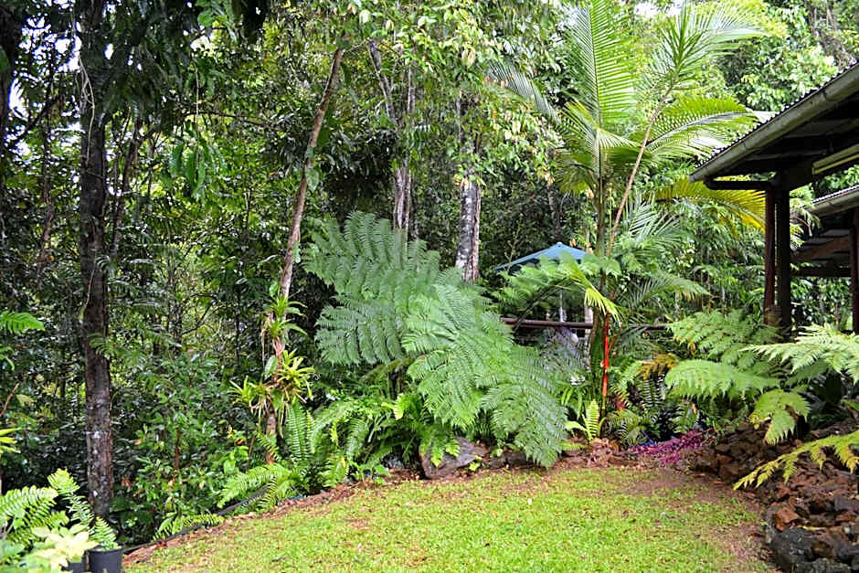 Tropical Bliss bed and breakfast