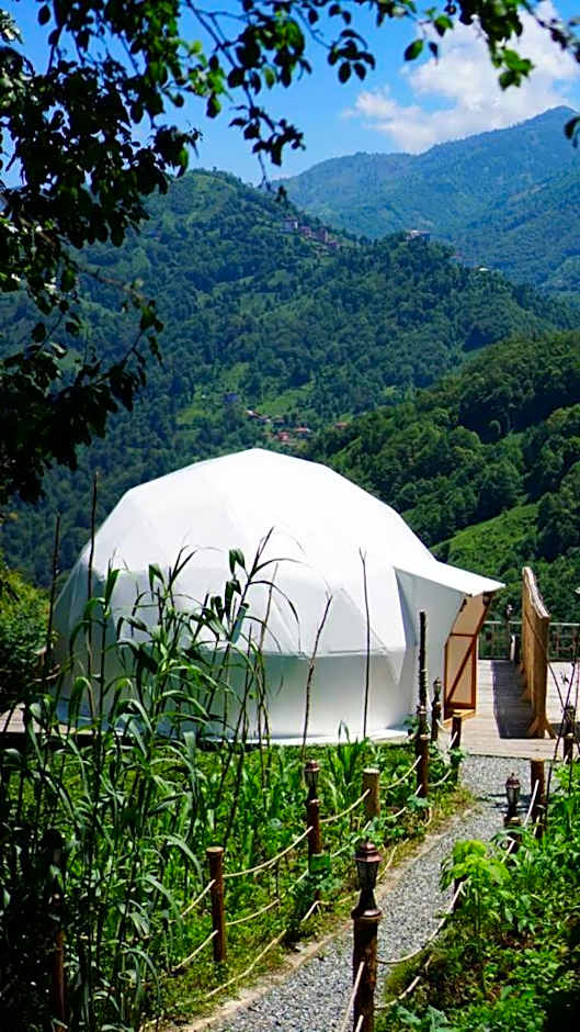 LİMKHONA DOME - CHALET