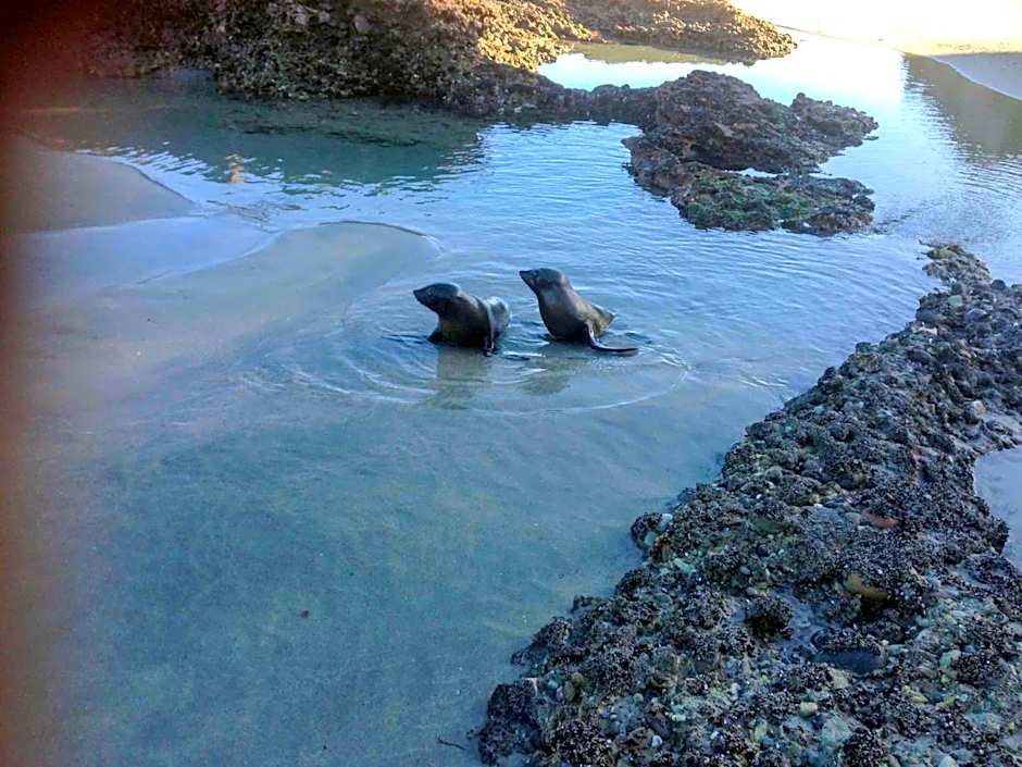 The Station House Motel