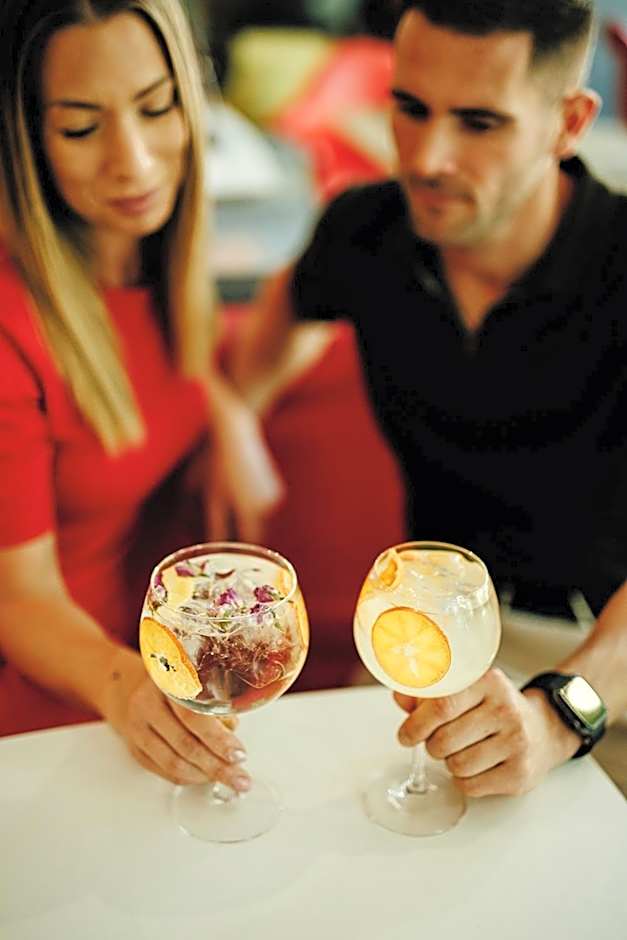 Ibis Gyor