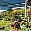 Pietrantica - Affittacamere con giardino NUOVA APERTURA a Trebiano -CITR