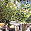 HILTON GARDEN INN MARSEILLE PROVENCE AIRPORT