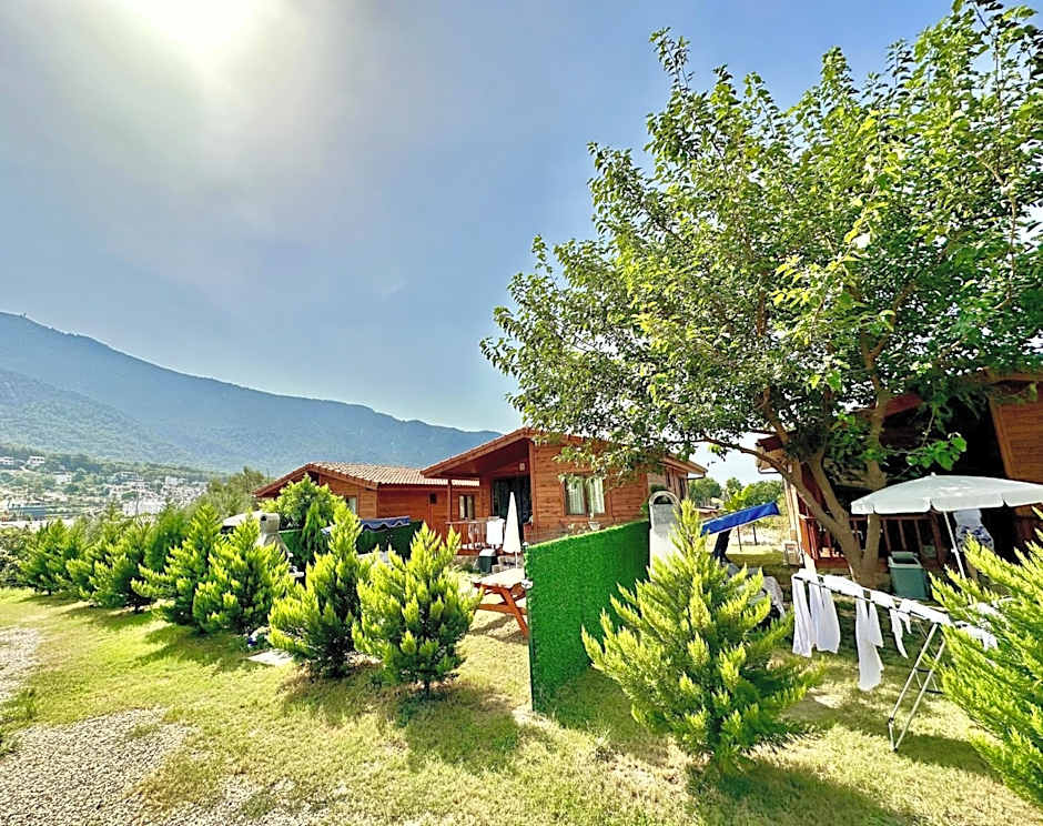 Hurmalik Aparts & Bungalows - Family Bungalows - Large Garden Bungalow with Barbecue