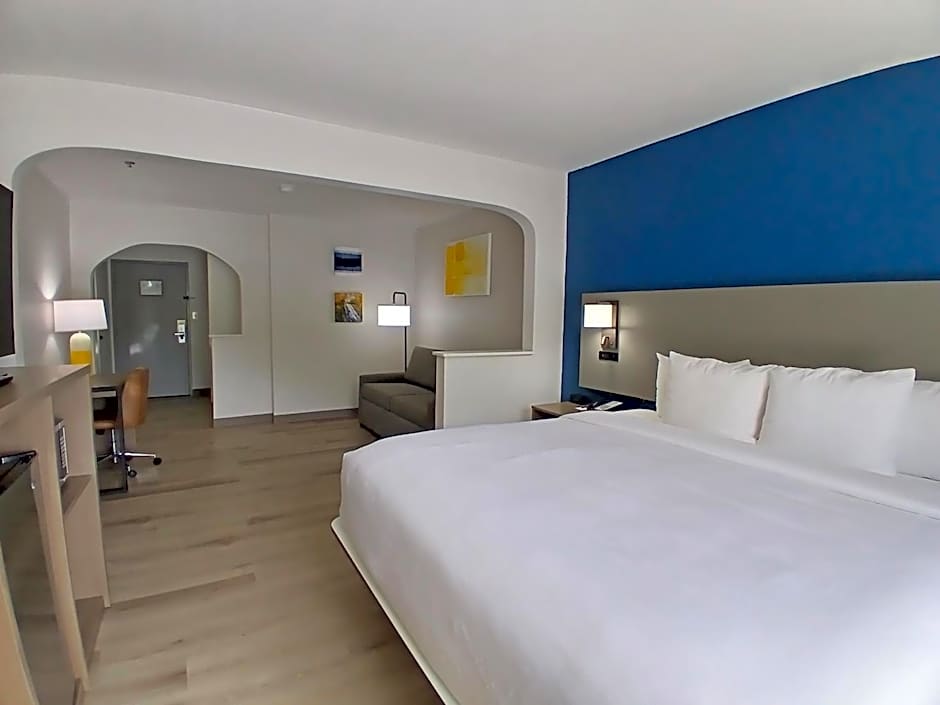 Photo 1 of 19 of 1 King Bed with Sofabed Suite