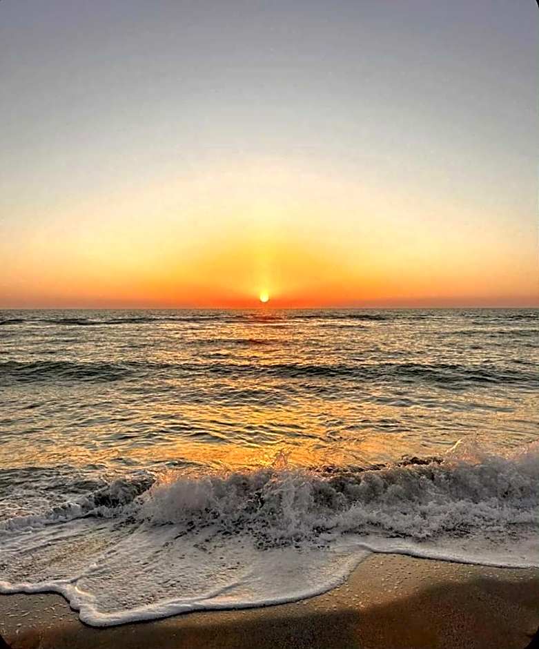 Under The Coconut Tree Hoi An