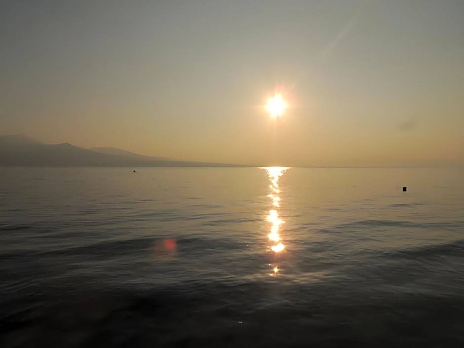 MDF Beach Resort and Day Tours near Whalesharks