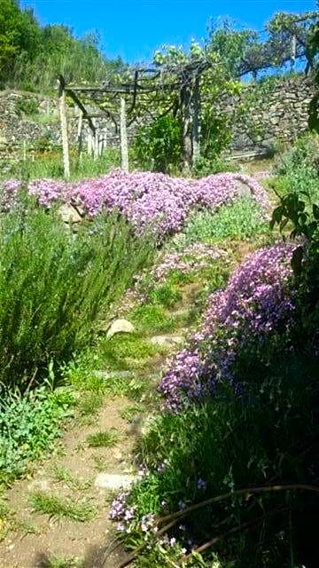 Bed & Breakfast Varionda