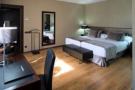 Superior Double or Twin Room with Terrace