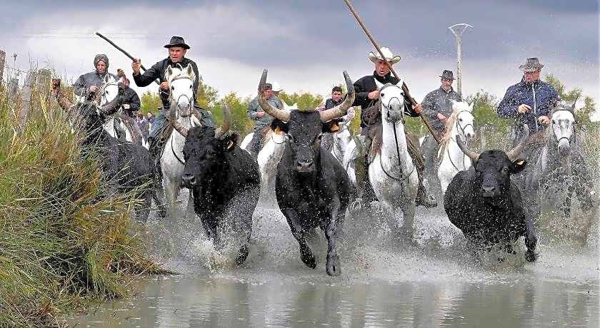 chambre d'hotes les cigales