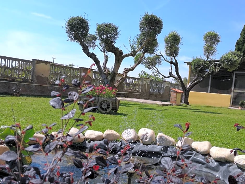 B&B Casa degli Ulivi