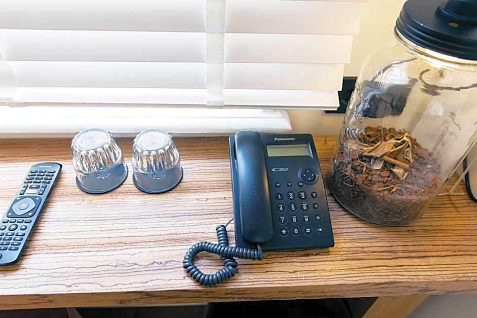 Quentin Golden Bear Hotel