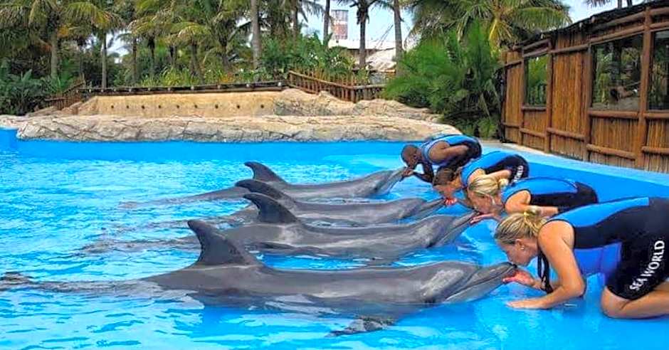 Precious Paradise Ushaka