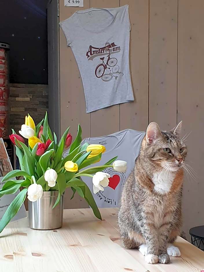 Hostel Cosmos Amsterdam