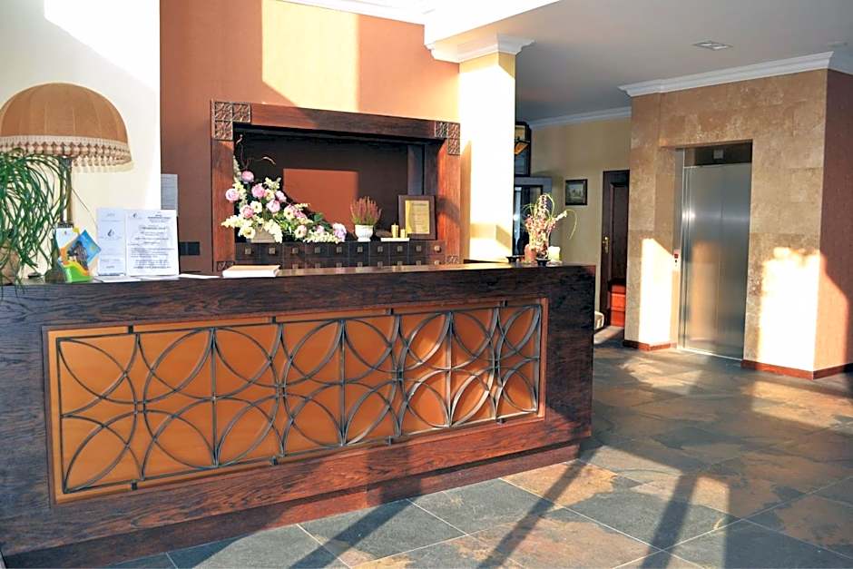 Borowinowy Zdrój Hotel Wellness Spa & Conference