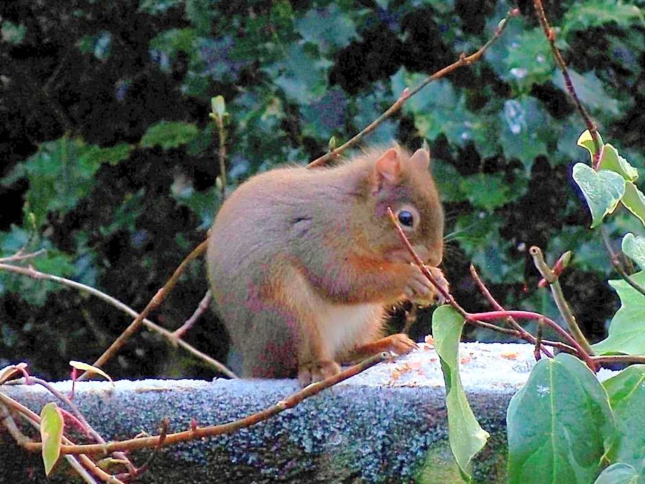 Loch Leven Hotel & Distillery