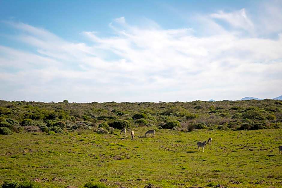 Romansbaai Moksha on the Sea