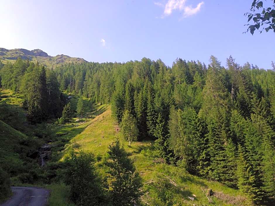 Alpenhotel Badmeister