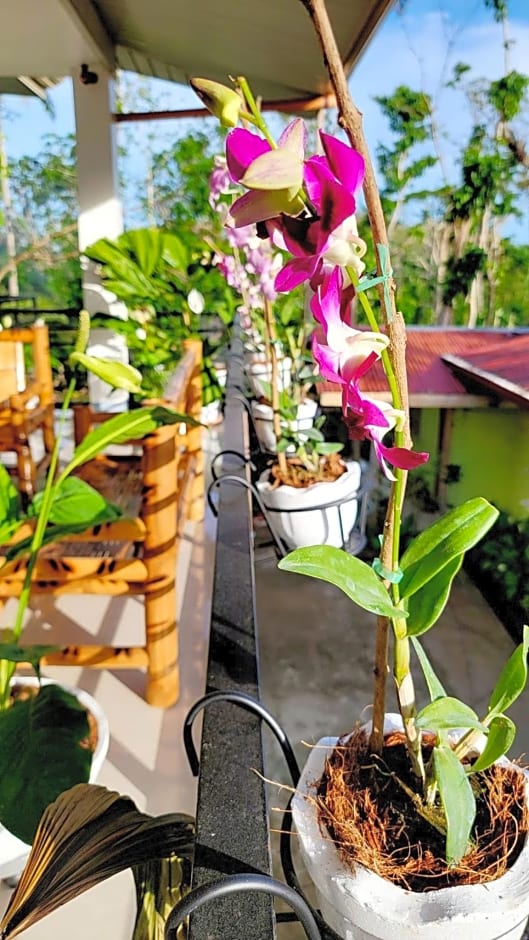 Matilde B&B - La Paz, Carmen