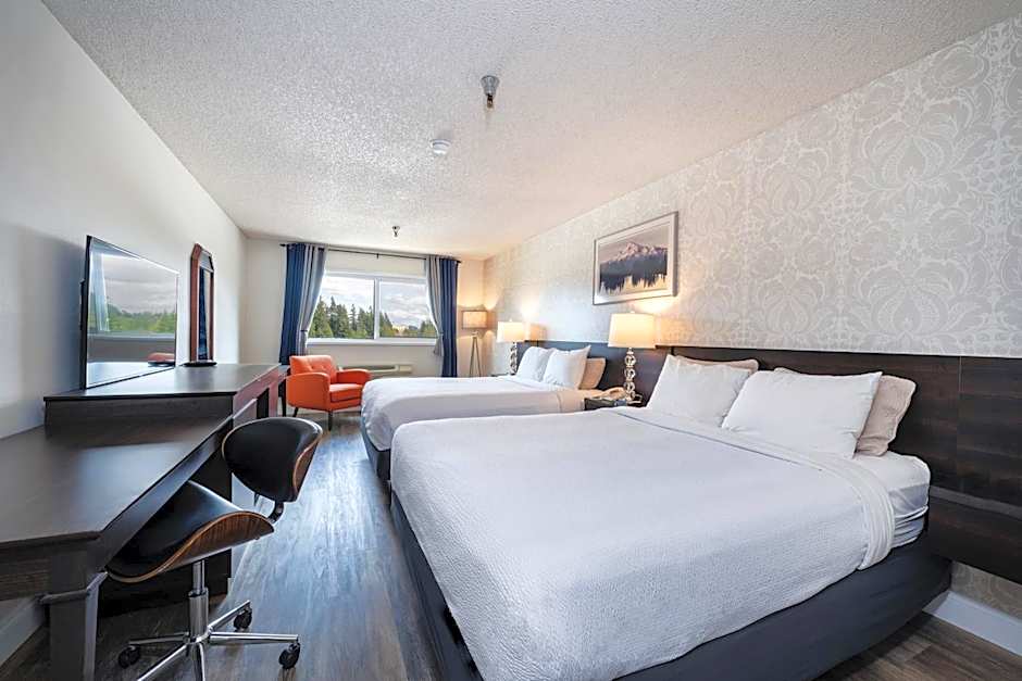 Hotel International