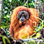Asim Paris Guesthouse & jungle trekking