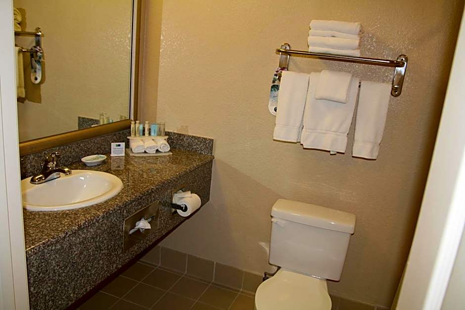 Holiday Inn Express Union City (San Jose) by IHG