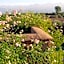 Ecolodge Quaryati Marrakech