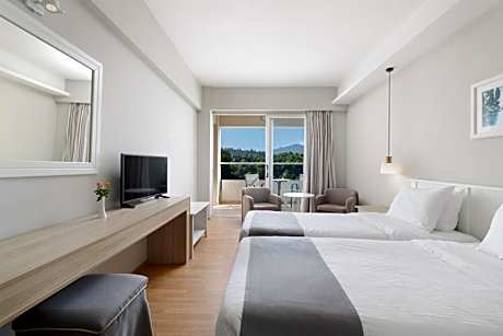 Double or Twin Room with Mountain View