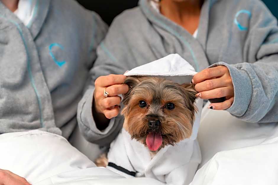 Hyatt Centric Brickell Miami