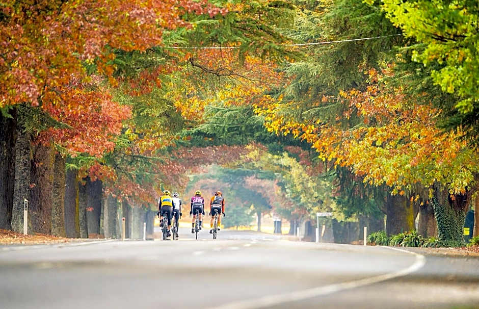 Bright Porepunkah Holiday Park