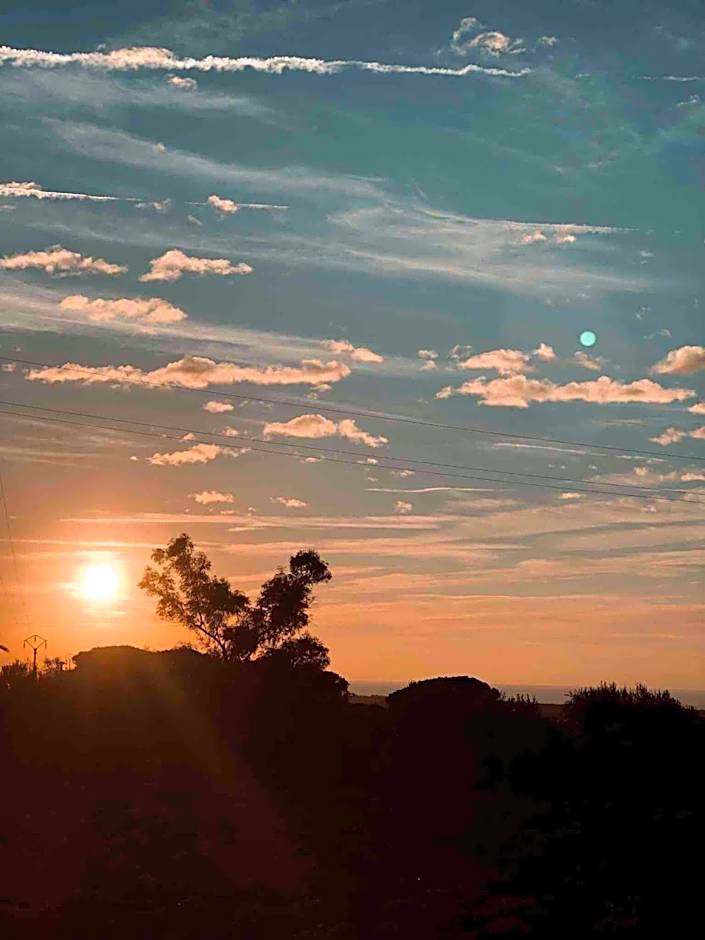 On Holiday Between Sky And Sea geco Di Campiglia pet friendly big garden