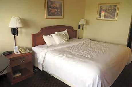1 King Bed Mobility Accessible Room Non-Smoking
