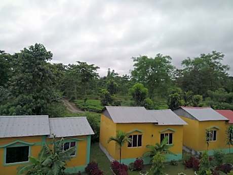 The Mystic Forest - A Tea Garden Resort