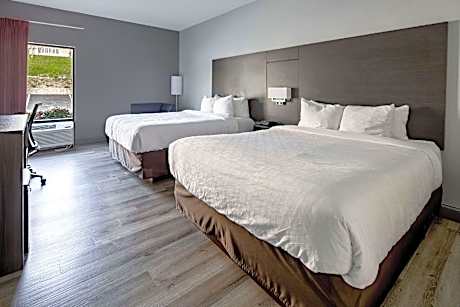 Quadruple Room with Two Queen Beds - Non Smoking