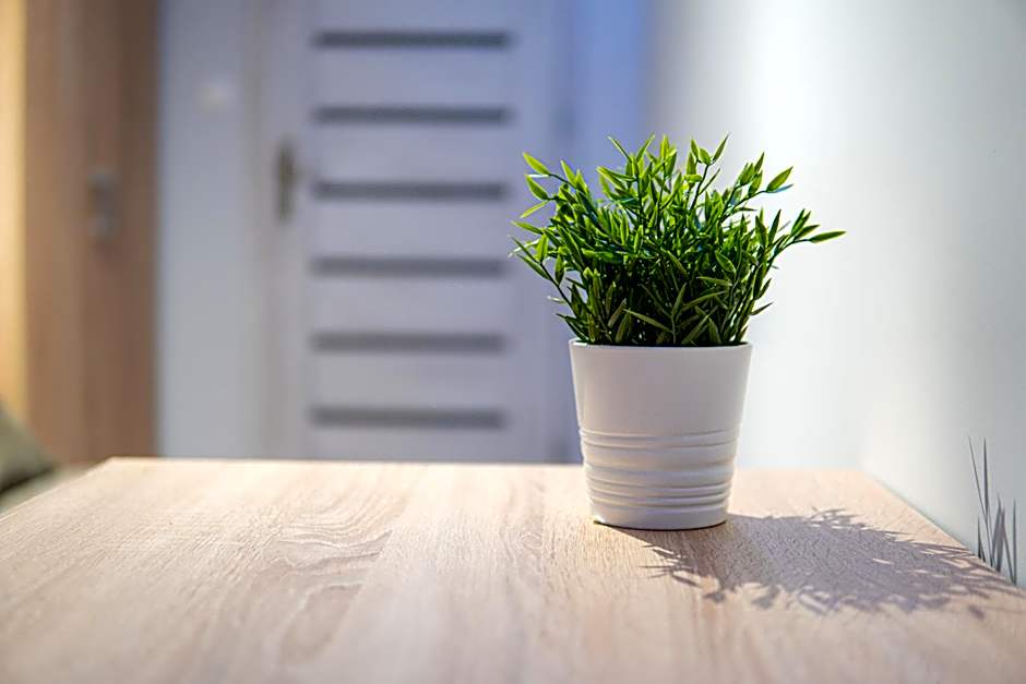 Dream Aparts - Tuwima 75