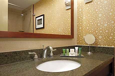 Superior King Room with City View