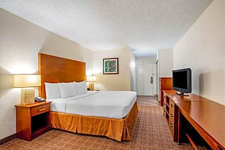 1 King Bed Suite Non-Smoking